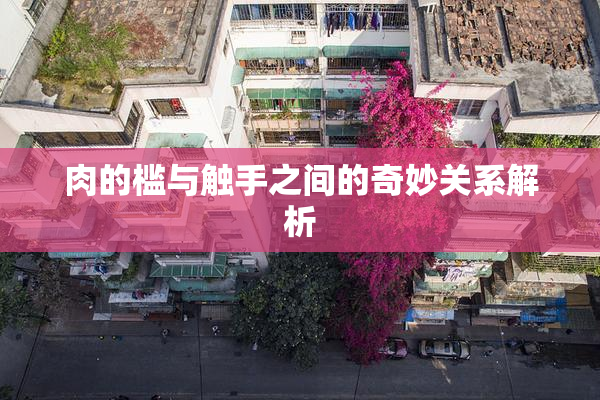 肉的槛与触手之间的奇妙关系解析