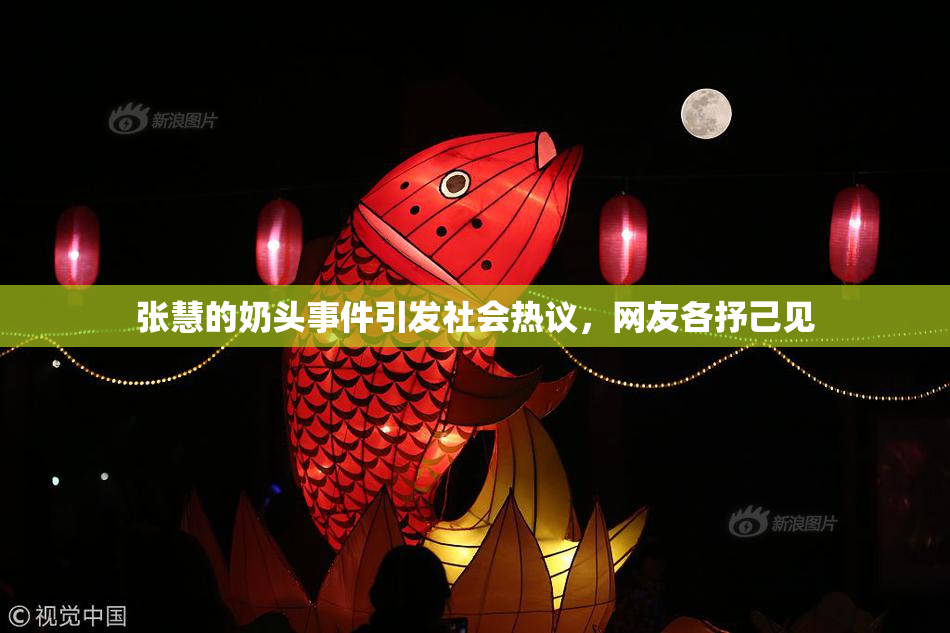 张慧的奶头事件引发社会热议，网友各抒己见