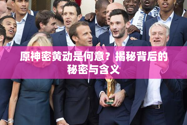 原神密黄动是何意？揭秘背后的秘密与含义