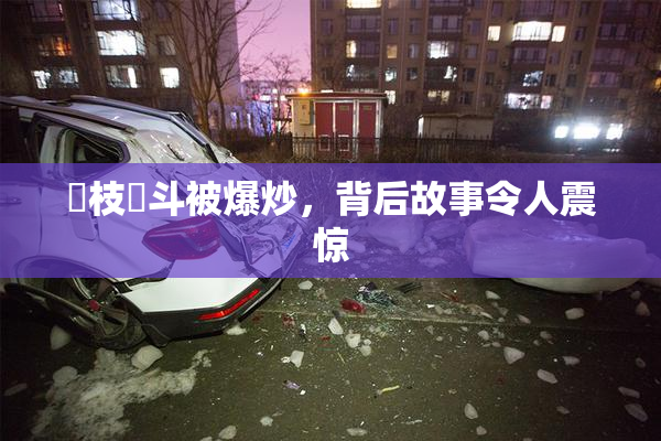 狛枝凪斗被爆炒，背后故事令人震惊