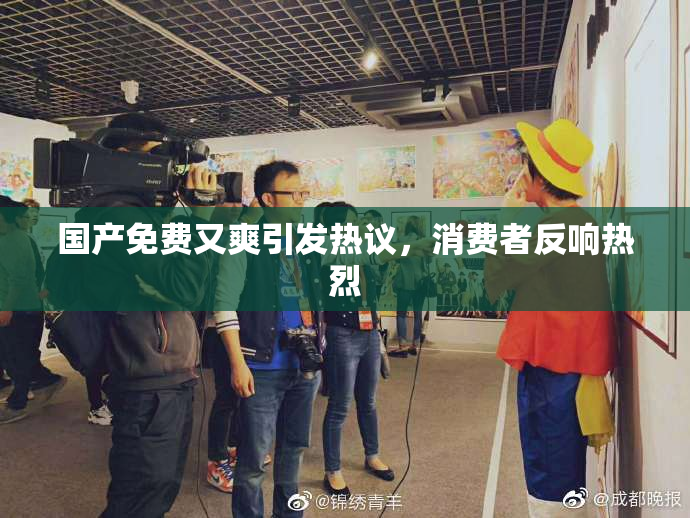 国产免费又爽引发热议，消费者反响热烈