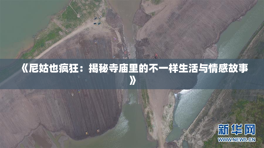 《尼姑也疯狂：揭秘寺庙里的不一样生活与情感故事》