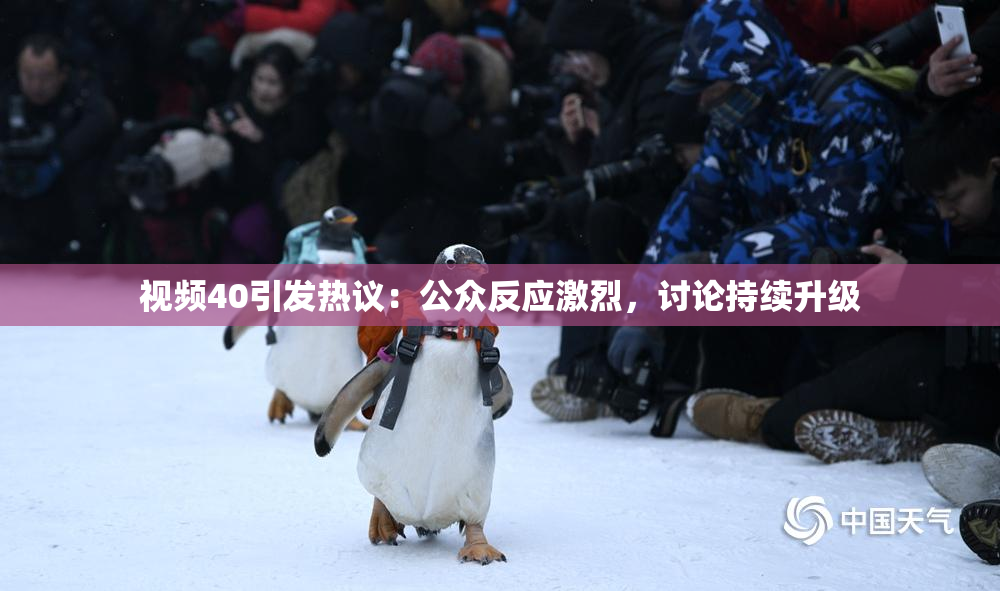 视频40引发热议：公众反应激烈，讨论持续升级