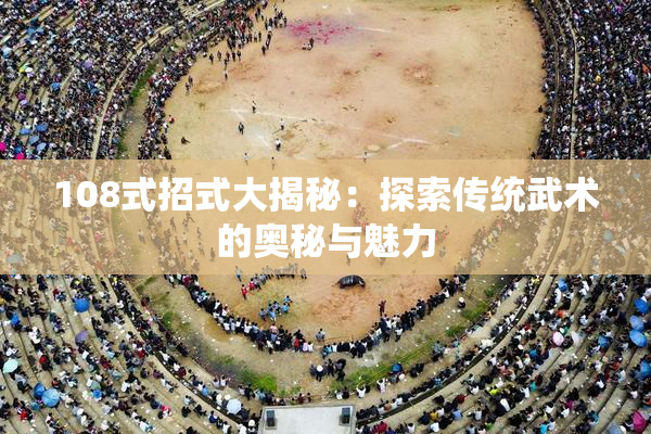 108式招式大揭秘：探索传统武术的奥秘与魅力