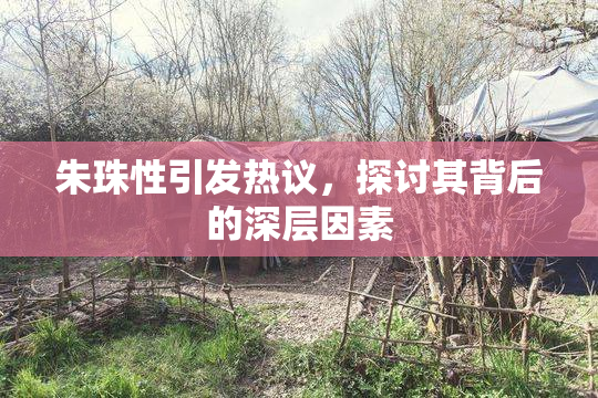 朱珠性引发热议，探讨其背后的深层因素