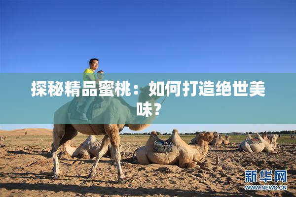 探秘精品蜜桃：如何打造绝世美味？