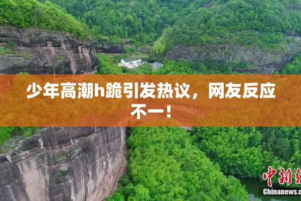 少年高潮h跪引发热议，网友反应不一！