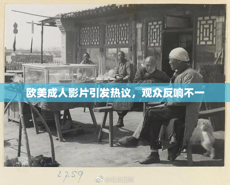 欧美成人影片引发热议，观众反响不一