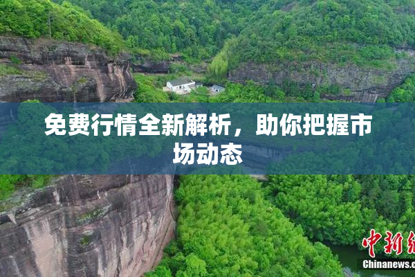 免费行情全新解析，助你把握市场动态