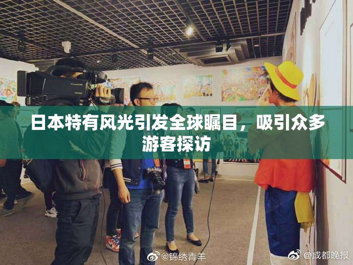 日本特有风光引发全球瞩目，吸引众多游客探访