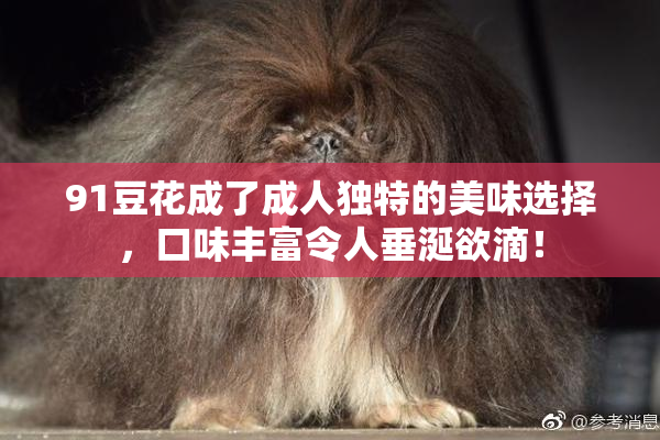 91豆花成了成人独特的美味选择，口味丰富令人垂涎欲滴！