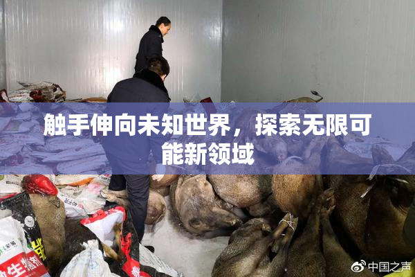 触手伸向未知世界，探索无限可能新领域