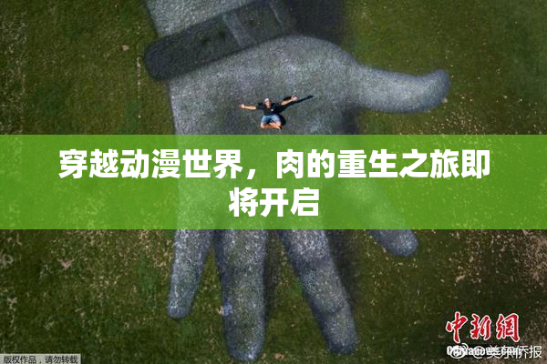穿越动漫世界，肉的重生之旅即将开启
