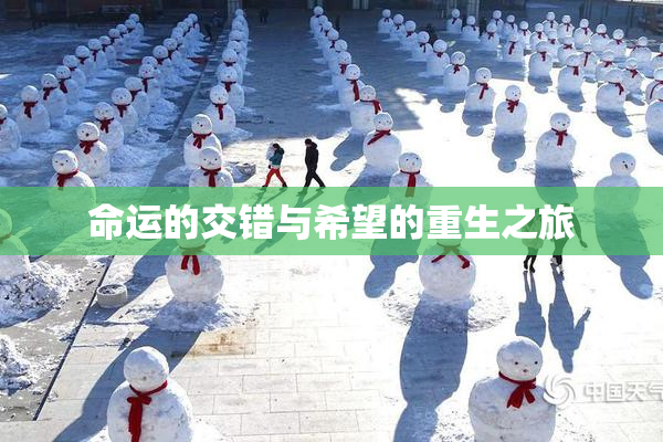 命运的交错与希望的重生之旅