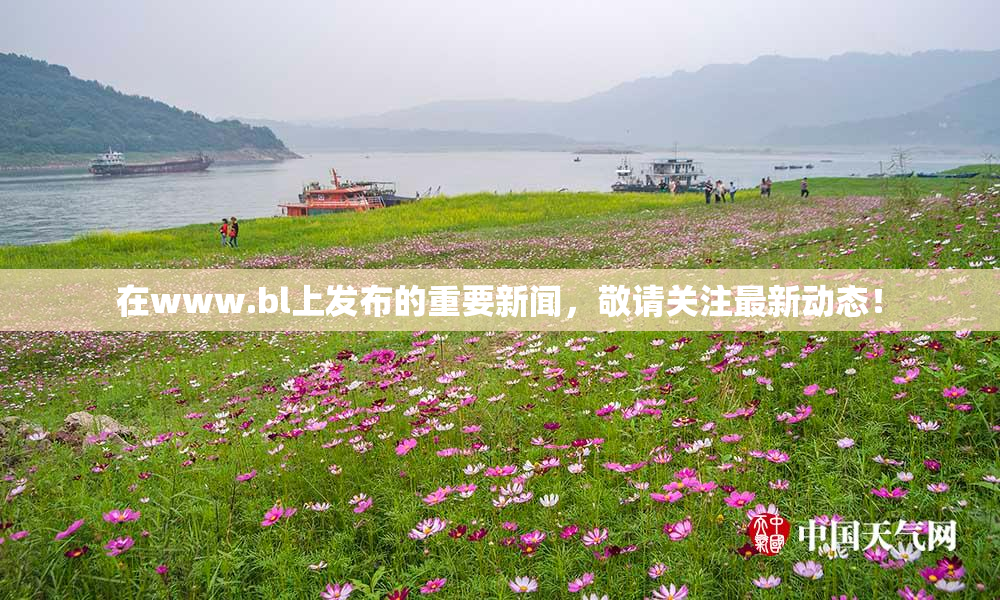 在www.bl上发布的重要新闻，敬请关注最新动态！