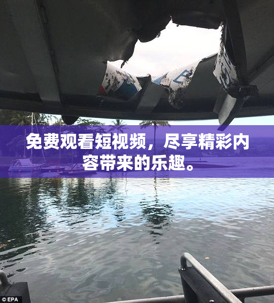 免费观看短视频，尽享精彩内容带来的乐趣。