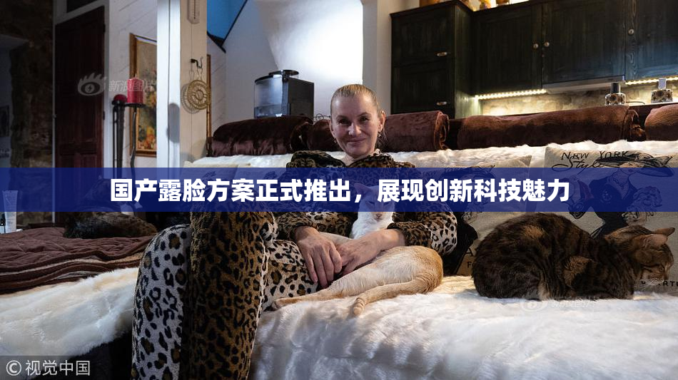 国产露脸方案正式推出，展现创新科技魅力