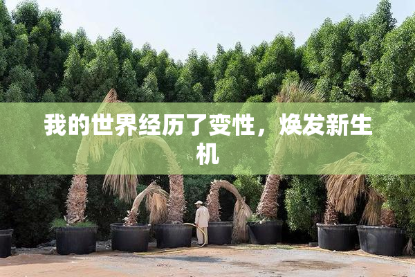 我的世界经历了变性，焕发新生机