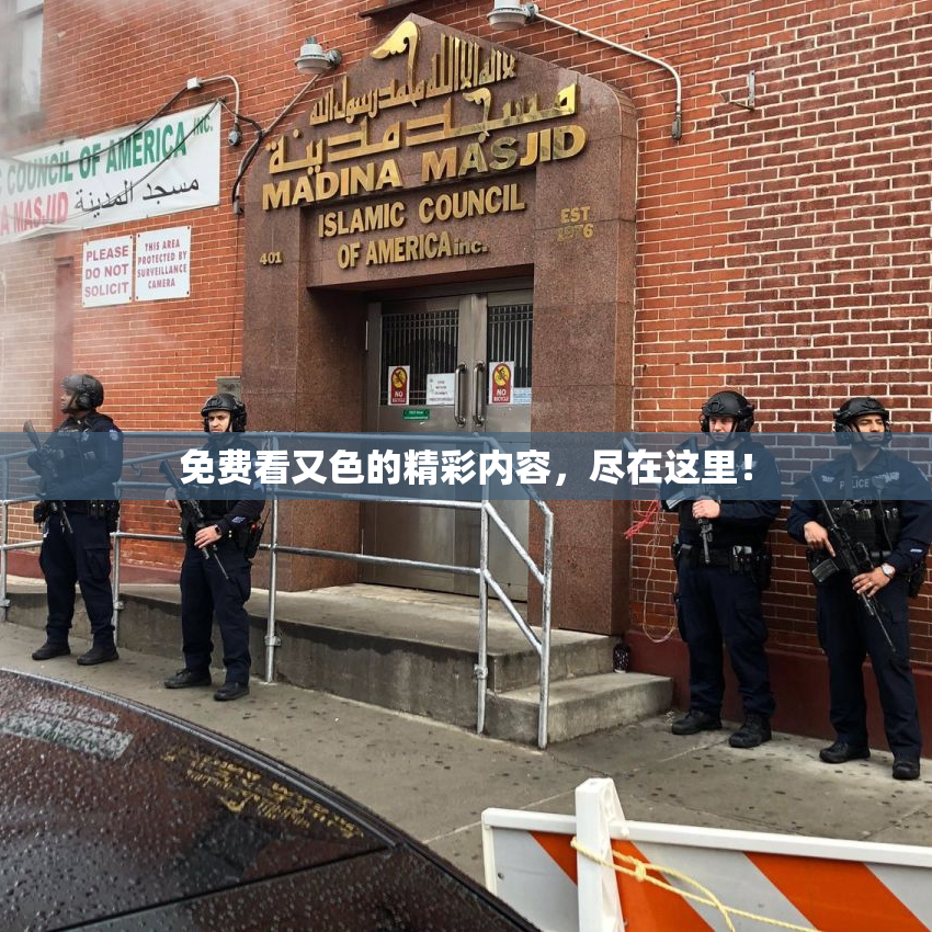 免费看又色的精彩内容，尽在这里！
