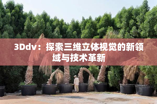 3Ddv：探索三维立体视觉的新领域与技术革新