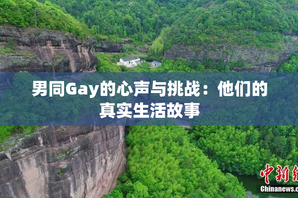 男同Gay的心声与挑战：他们的真实生活故事