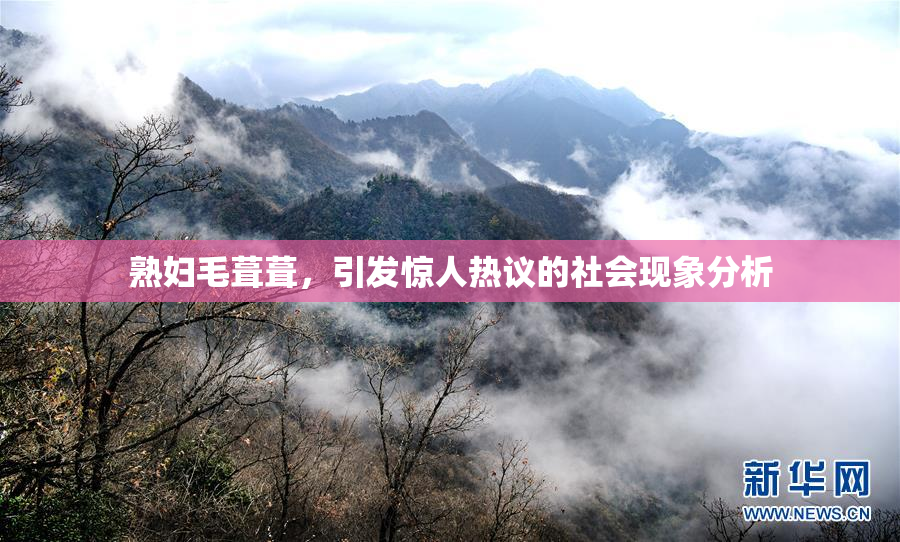 熟妇毛葺葺，引发惊人热议的社会现象分析