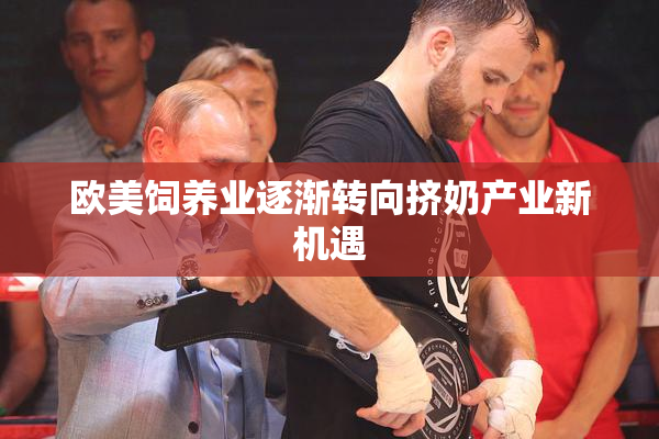 欧美饲养业逐渐转向挤奶产业新机遇