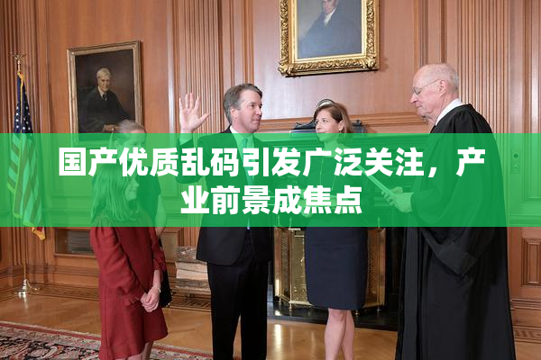 国产优质乱码引发广泛关注，产业前景成焦点