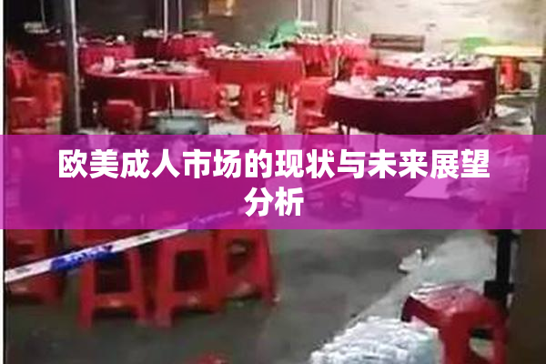 欧美成人市场的现状与未来展望分析