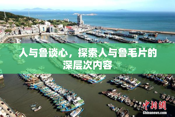 人与鲁谈心，探索人与鲁毛片的深层次内容