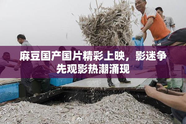 麻豆国产国片精彩上映，影迷争先观影热潮涌现