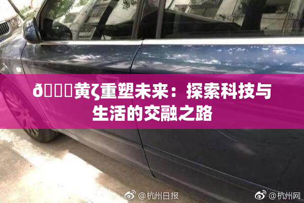 🔞黄ζ重塑未来：探索科技与生活的交融之路
