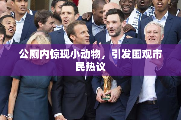 公厕内惊现小动物，引发围观市民热议