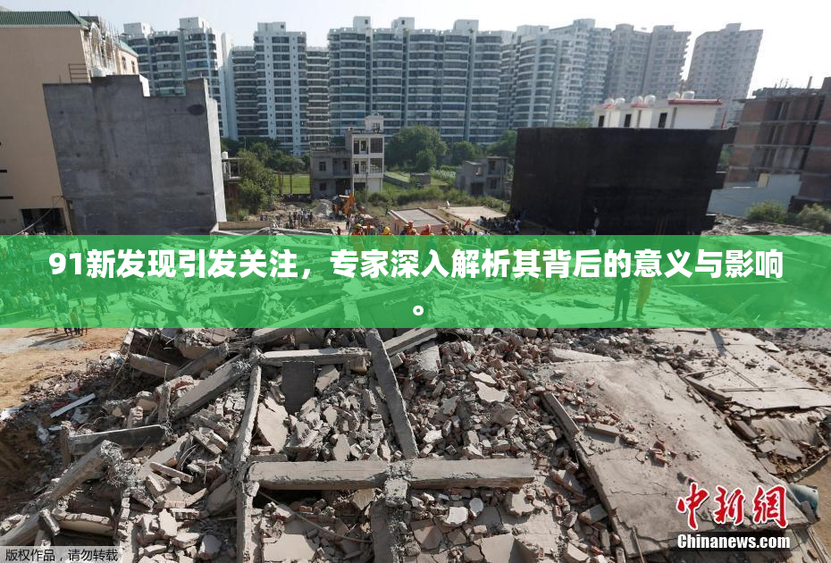 91新发现引发关注，专家深入解析其背后的意义与影响。