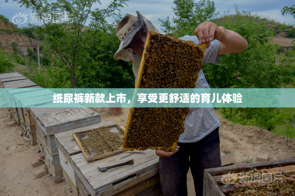 纸尿裤新款上市，享受更舒适的育儿体验