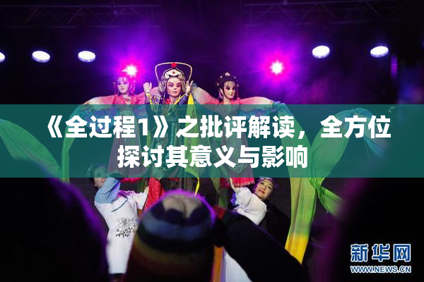 《全过程1》之批评解读，全方位探讨其意义与影响
