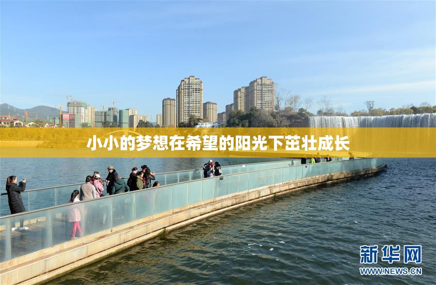 小小的梦想在希望的阳光下茁壮成长