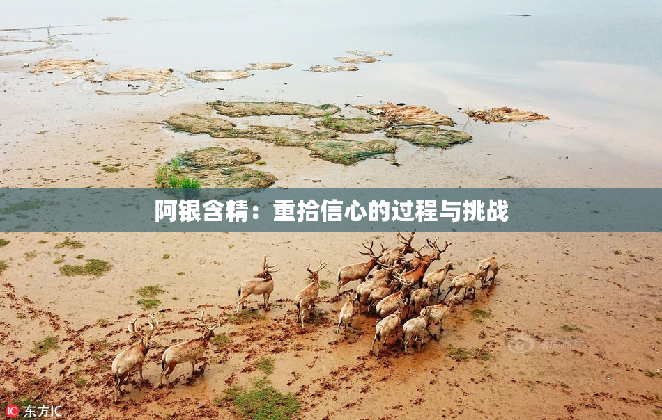 阿银含精：重拾信心的过程与挑战