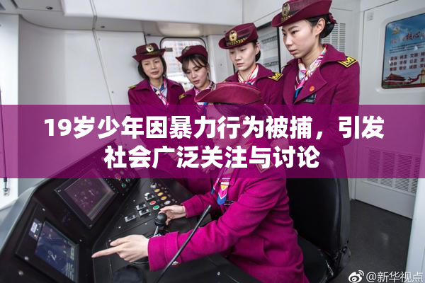 19岁少年因暴力行为被捕，引发社会广泛关注与讨论