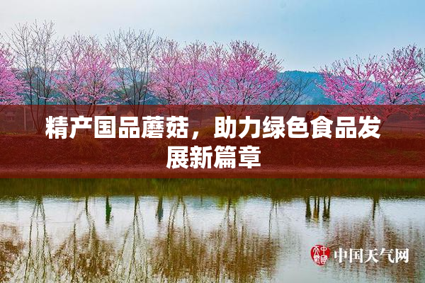 精产国品蘑菇，助力绿色食品发展新篇章