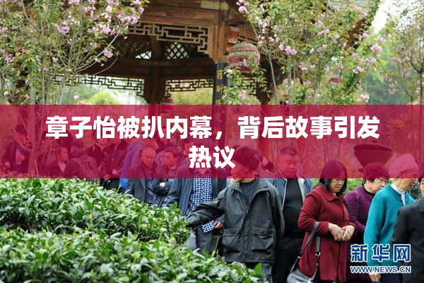 章子怡被扒内幕，背后故事引发热议