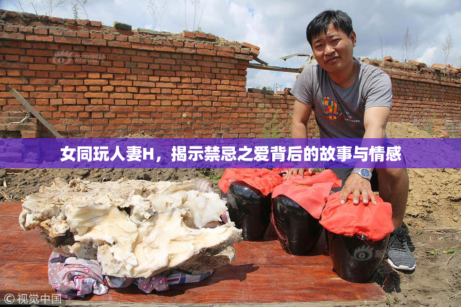 女同玩人妻H，揭示禁忌之爱背后的故事与情感