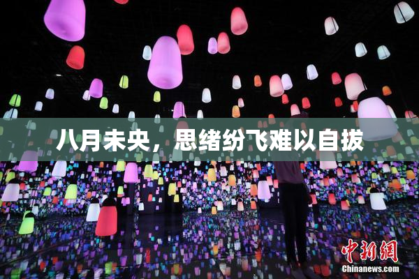 八月未央，思绪纷飞难以自拔