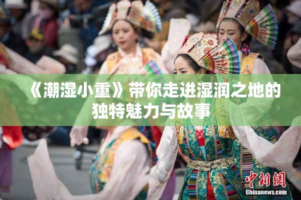 《潮湿小重》带你走进湿润之地的独特魅力与故事