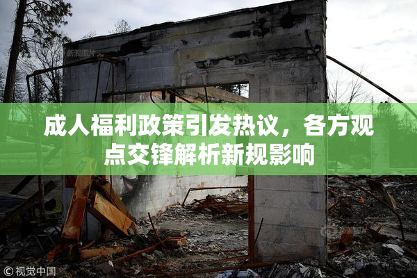 成人福利政策引发热议，各方观点交锋解析新规影响