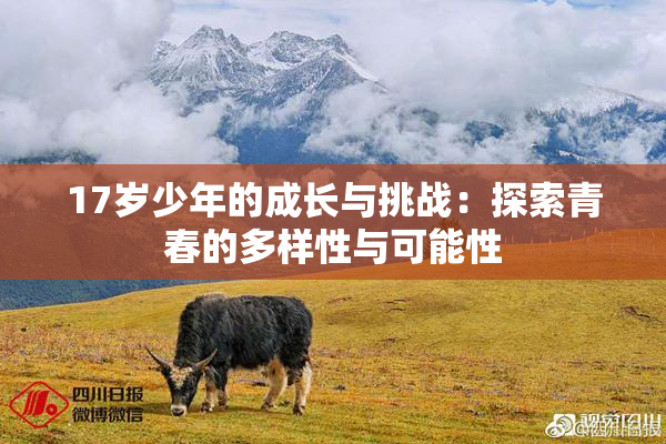 17岁少年的成长与挑战：探索青春的多样性与可能性
