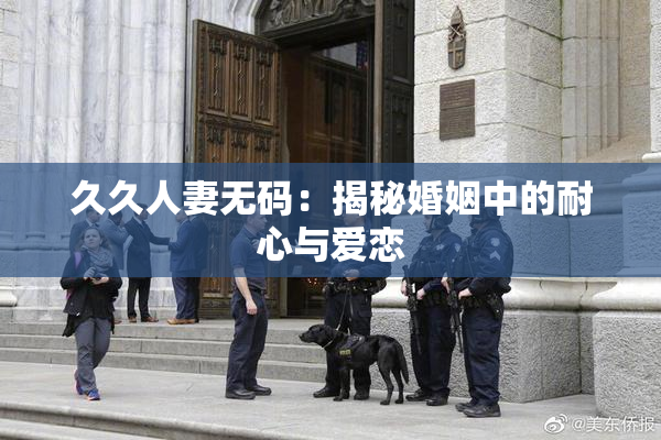 久久人妻无码：揭秘婚姻中的耐心与爱恋