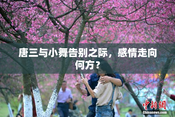 唐三与小舞告别之际，感情走向何方？