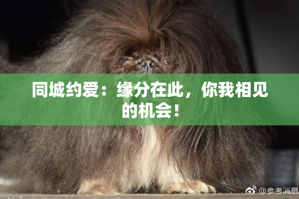 同城约爱：缘分在此，你我相见的机会！