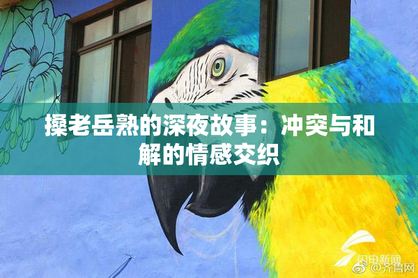 搡老岳熟的深夜故事：冲突与和解的情感交织